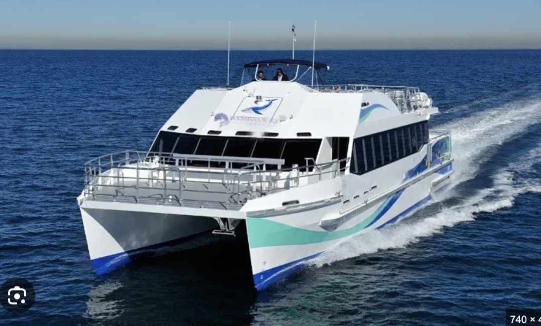 Moonshadow: 2.5hr Whale Watching Cruise